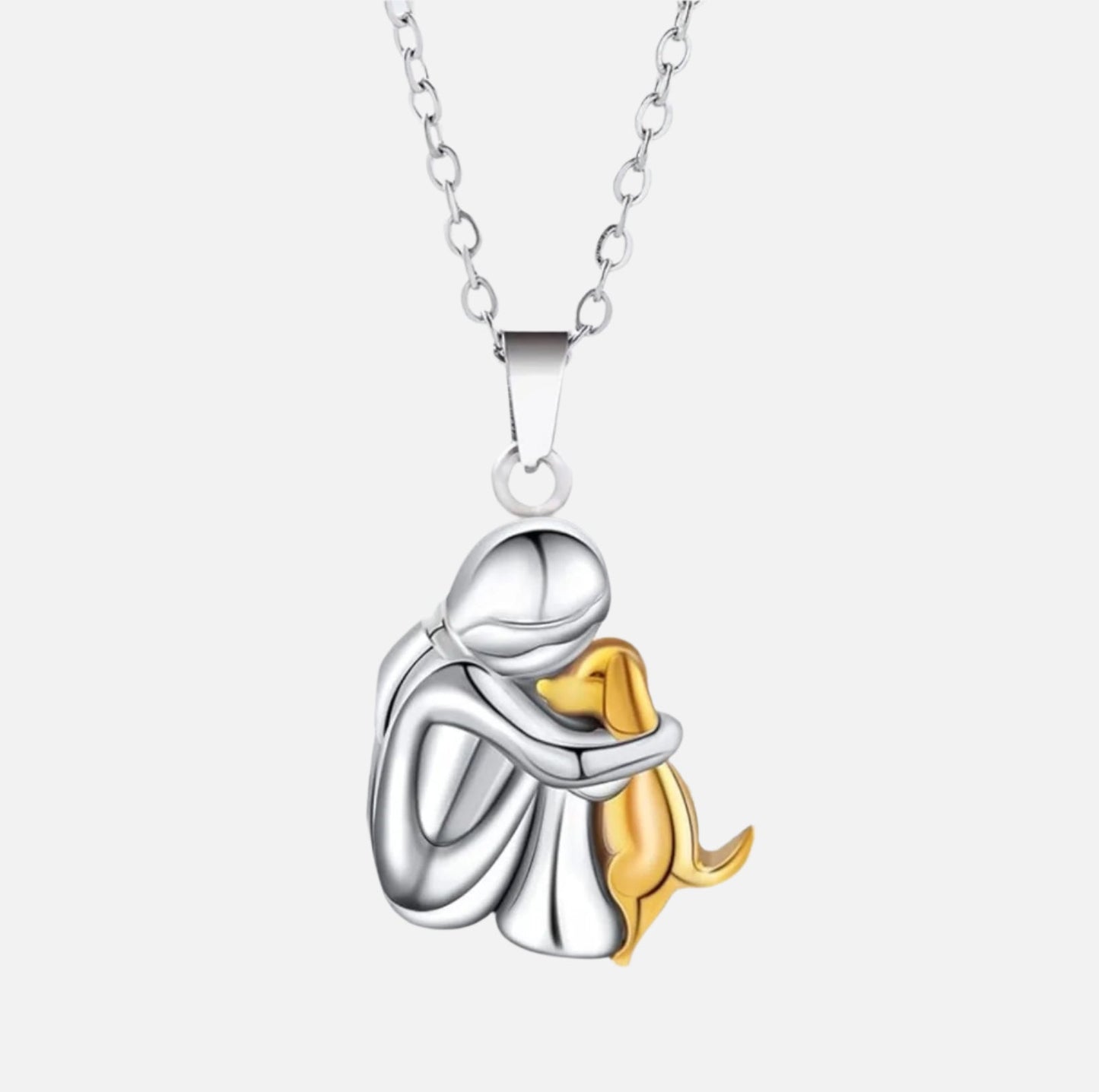 Collar para recordar tu perro